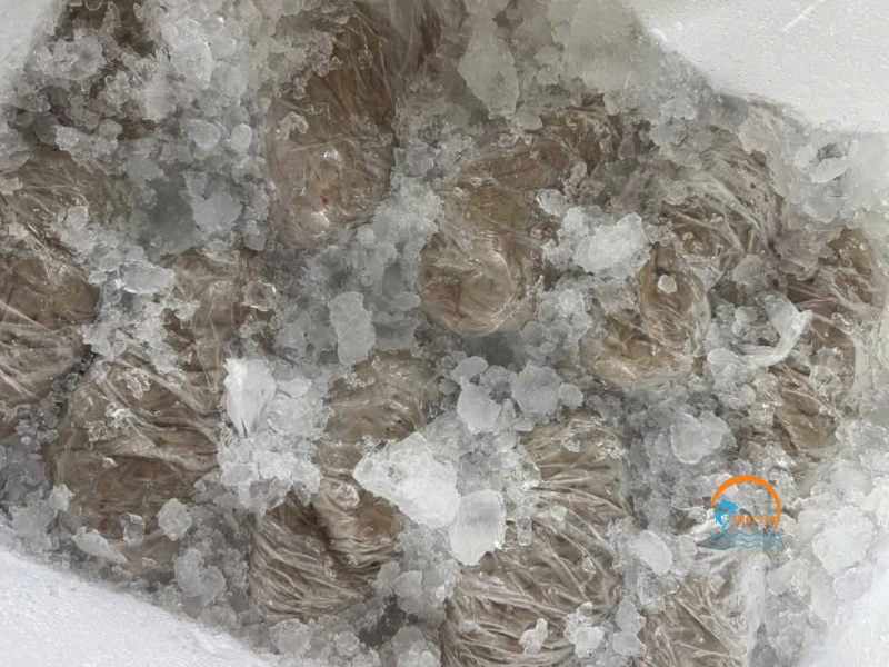 Chả cá tươi ướp đá lạnh giao nhanh cho khách